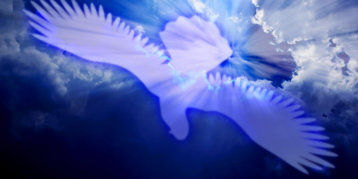 Comment Découvrir Son Animal Totem