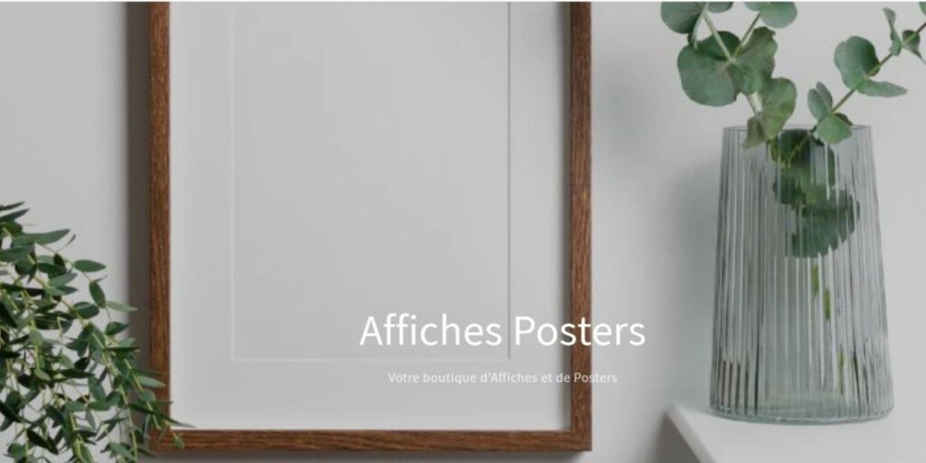 Avis affiches-posters.fr